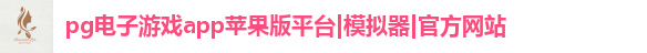 pg电子游戏app苹果版
